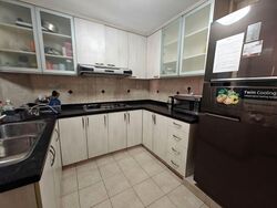 Simsville (D14), Condominium #580243131